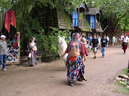 2005sf_049
