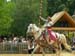 DSCN0964