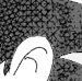 Turles and Bardock - from Dominion, Chapter 16, by Xero Sky - Art by bakayaro onna