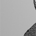 Turles and Bardock - from Dominion, Chapter 16, by Xero Sky - Art by bakayaro onna