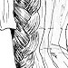 Mijuku and Sage from Restraints & Liberations, Chapter 5