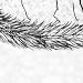 Mijuku and Sage from Restraints & Liberations, Chapter 5