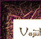 Vejiita and Gohan by bakayaro onna - inspired by Talon's story, "But You Knew That"