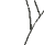 "Apple"- a Vejiita/Kakarotto image by bakayaro onna