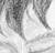 Oni, Sage and Tenshi in blissful slumber