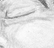 Oni, Sage and Tenshi in blissful slumber