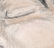 Oni, Sage and Tenshi in blissful slumber