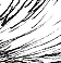 Tail Ride - Black and White with Screentone
