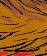 Tail Ride - Colour