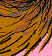 Tail Ride - Colour