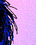Tail Ride - Colour
