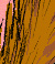 Tail Ride - Colour