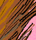 Tail Ride - Colour