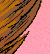 Tail Ride - Colour