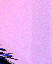 Princeling Tail ride - Colour