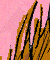 Princeling Tail ride - Colour