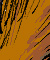 Princeling Tail ride - Colour