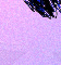 Princeling Tail ride - Colour