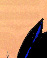 Princeling Tail ride - Colour