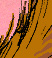 Princeling Tail ride - Colour