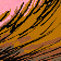 Princeling Tail ride - Colour
