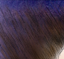 Vejiita Headshot #2 - Coloured
