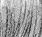 Camera Auto-Timer Capture - an A/U Gravitation/Liquid Rodent image by bakayaro onna