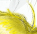 Tropical Call - an A/U Gravitation/Liquid Rodent image by bakayaro onna