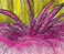Tropical Call - an A/U Gravitation/Liquid Rodent image by bakayaro onna