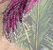 Tropical Call - an A/U Gravitation/Liquid Rodent image by bakayaro onna