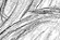 Tropical Call - an A/U Gravitation/Liquid Rodent image by bakayaro onna