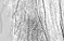 Tropical Call - an A/U Gravitation/Liquid Rodent image by bakayaro onna