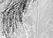 Tropical Call - an A/U Gravitation/Liquid Rodent image by bakayaro onna