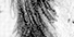 Covert Squeeze - an A/U Gravitation/Liquid Rodent image by bakayaro onna