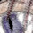 First Line, coloured version - a Gravitation image by bakayaro onna