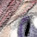 First Line, coloured version - a Gravitation image by bakayaro onna