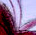 Comfort and Joy - colour version - a Gravitation image by bakayaro onna