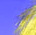 Comfort and Joy - colour version - a Gravitation image by bakayaro onna
