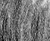 Again - black & white version - a Gravitation image by bakayaro onna