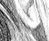 Again - black & white version - a Gravitation image by bakayaro onna