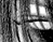 Again - black & white version - a Gravitation image by bakayaro onna