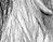 Again - black & white version - a Gravitation image by bakayaro onna