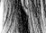 Again - black & white version - a Gravitation image by bakayaro onna