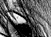 Again - black & white version - a Gravitation image by bakayaro onna