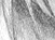 Again - black & white version - a Gravitation image by bakayaro onna