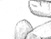 Again - black & white version - a Gravitation image by bakayaro onna