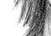 Again - black & white version - a Gravitation image by bakayaro onna