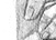 Again - black & white version - a Gravitation image by bakayaro onna