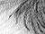 Again - black & white version - a Gravitation image by bakayaro onna