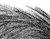 Again - black & white version - a Gravitation image by bakayaro onna